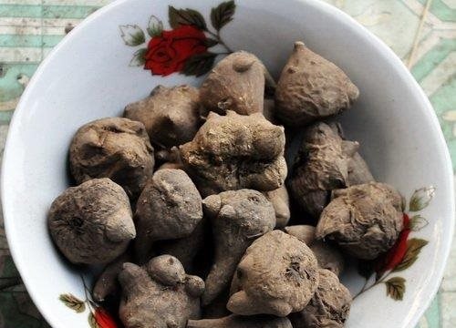 11 người bị ngộ độc vì ăn lẩu có củ ấu tẩu
