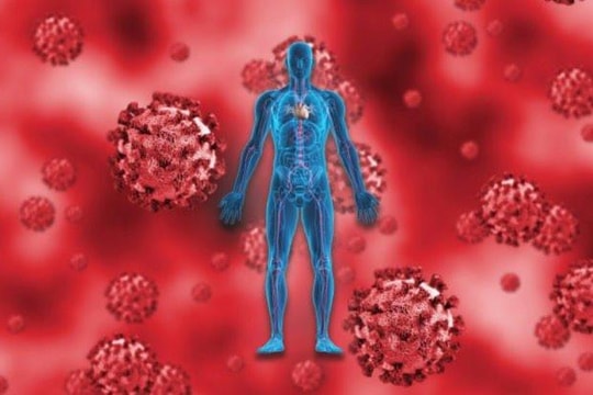 Biến thể JN.1 của virus SARS-CoV-2 gia tăng trên toàn cầu
