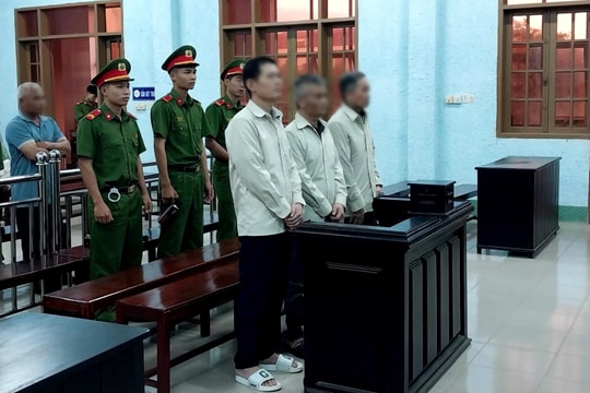 Vụ án hủy hoại rừng ở Krông Pa: Tạm dừng phiên tòa để thu thập tài liệu, chứng cứ