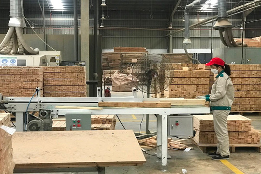 Xuất khẩu gỗ và lâm sản năm 2023 ước đạt 13,5 tỷ USD