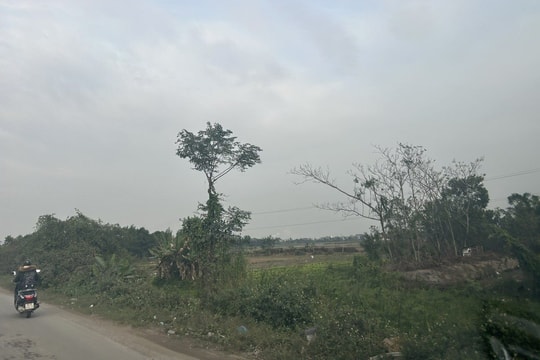 Không cấp phép khai thác tài nguyên, cho thuê đất đối với doanh nghiệp nợ thuế