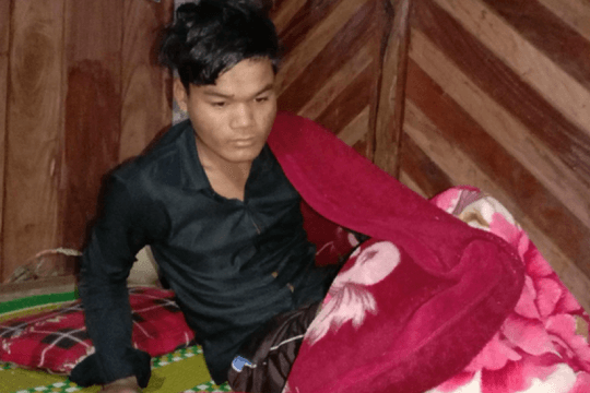 Trâu hoang tấn công khiến 2 người thương vong
