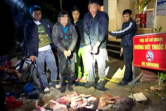 Hai đối tượng mang kích điện đi trộm chó