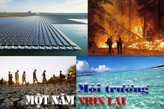Tình hình môi trường năm 2023 - một năm nhìn lại