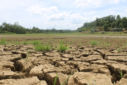 Gia Lai: Chủ động ứng phó với thiên tai trong năm 2024