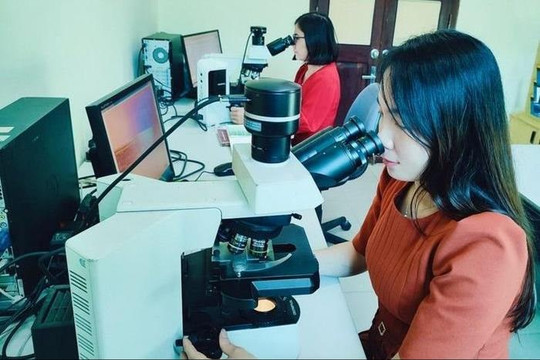 Tìm thấy loài ký sinh mới gây hại cây trồng