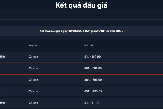 Biển số 88A-666.66 đã có chủ với giá gần 30 tỷ đồng