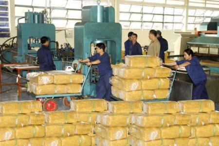 Năm 2023: Xuất khẩu cao su của Việt Nam đạt khoảng 2,14 triệu tấn