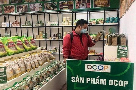 Chương trình mỗi xã một sản phẩm TP Hà Nội năm 2024