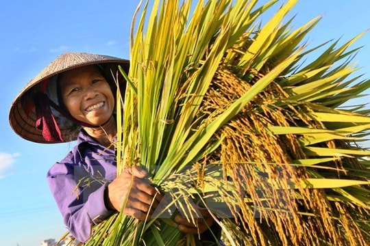 Ngành nông nghiệp về đích nhiều mục tiêu quan trọng