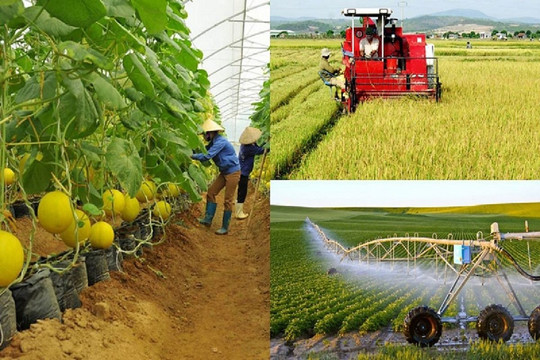 Phấn đấu trồng trọt thành ngành kinh tế kỹ thuật hiện đại