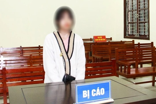 Chiếm đoạt tài sản của bạn trai vì không cho vay tiền