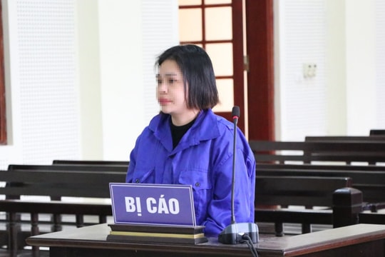 Lừa đảo tiền tỉ khi được tại ngoại vì nuôi con nhỏ