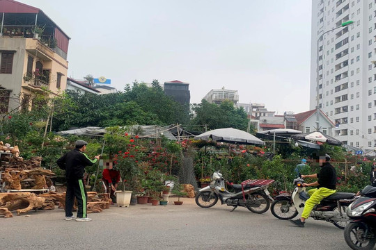 Hà Nội: Lộn xộn buôn bán cạnh đường