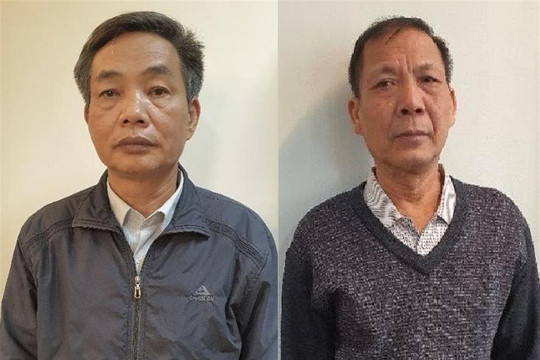 Thêm 2 bị can tại Tổng Công ty Chè Việt Nam bị tạm giam
