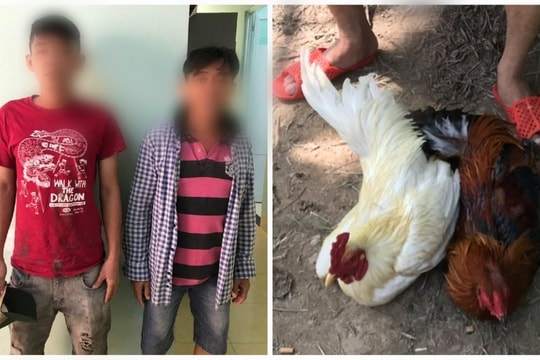 Liên tiếp bắt giữ 2 tụ điểm đánh bạc ăn tiền