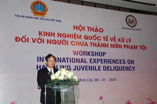 Hội thảo kinh nghiệm quốc tế về xử lý đối với người chưa thành niên phạm tội