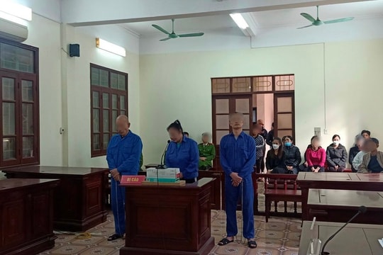 Mua ma túy về nhà trọ cho nhiều người sử dụng