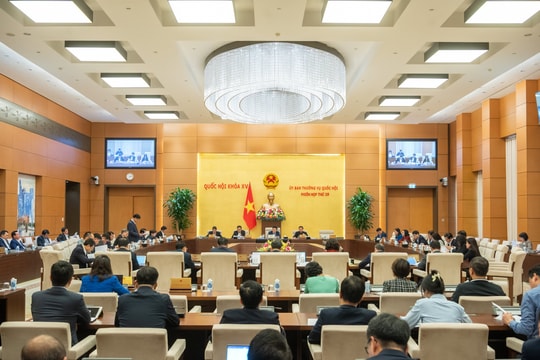 UBTVQH cho ý kiến dự thảo Luật Các tổ chức tín dụng (sửa đổi)