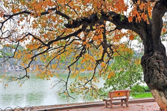 Thời tiết ngày 9/1: Bắc Bộ ngày nắng ấm, sáng sớm và đêm trời rét