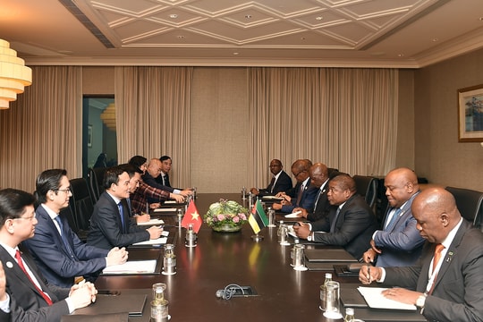 Tổng thống Mozambique mong Việt Nam chia sẻ kinh nghiệm sản xuất nông nghiệp