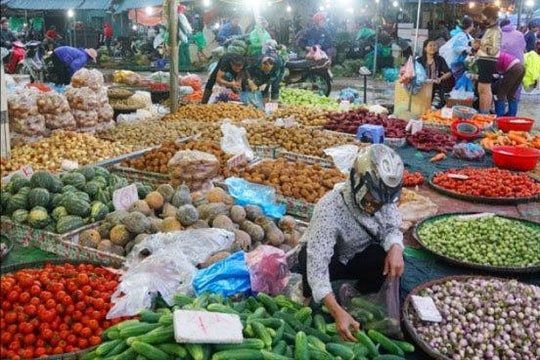 Hà Nội: Kết nối tiêu thụ nông sản dịp Tết được đẩy mạnh