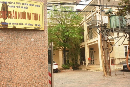 Hà Nội: Sáp nhập Chi cục Thủy sản vào Chăn nuôi và Thú y