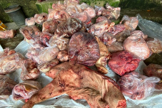  TT-Huế: Thu giữ hơn 3 tấn thực phẩm đông lạnh không rõ nguồn gốc