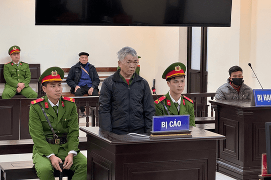 Dùng lá ngón đầu độc con dâu