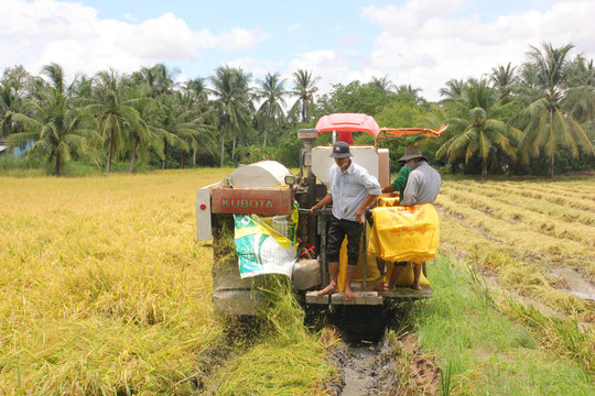 Vĩnh Lợi (Bạc Liêu): Tập trung thực hiện hiệu quả các Chương trình mục tiêu quốc gia