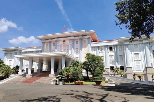 Gia Lai: Gần 400 ha đất cấp cho doanh nghiệp là giả mạo