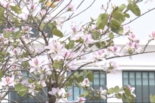 Tuần Văn hóa du lịch Điện Biên - Thanh Hóa có gì hấp dẫn?