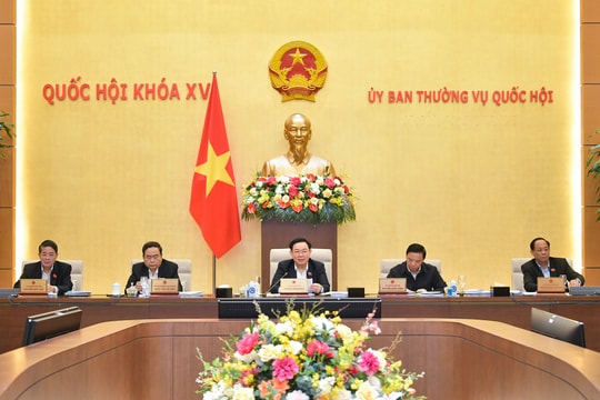 Cho ý kiến việc tiếp thu dự thảo Luật, Nghị quyết trình Quốc hội tại Kỳ họp bất thường