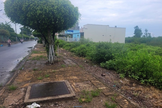 Khởi tố các đối tượng liên quan sai phạm tại dự án KDC Nọc Nạng 