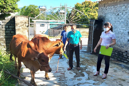 Tín dụng chính sách mang cuộc sống no ấm, hạnh phúc đến với người nghèo