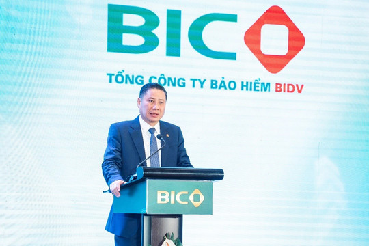 2023: BIC tăng trưởng cao nhất trong Top 10 Công ty bảo hiểm phi nhân thọ Việt Nam