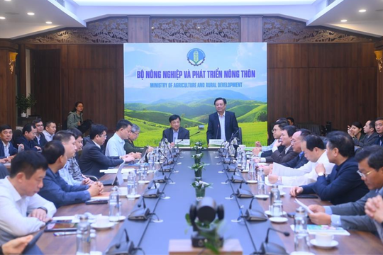 Tìm hướng khắc phục ngay những "điểm nghẽn" làm chậm tiến độ triển khai Đề án 06 trong ngành nông nghiệp