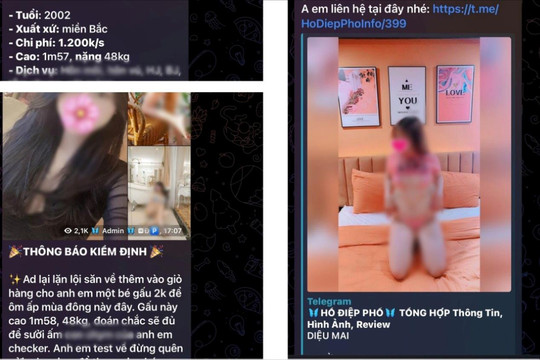 Hai đối tượng điều hành đường dây môi giới mại dâm online