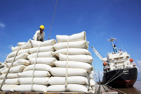 Xuất khẩu gạo năm 2024 có thể mang về khoảng 5,3 tỷ USD