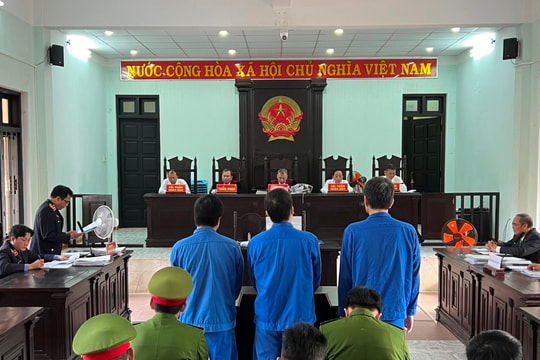 Bán đất của người khác, 3 bị cáo lĩnh án