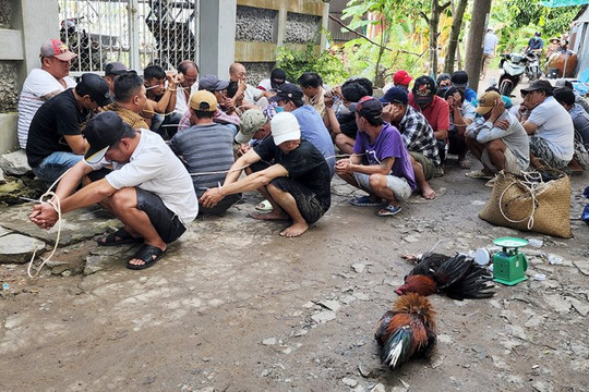 22 đối tượng đá gà ăn tiền ở Hải Dương bị khởi tố