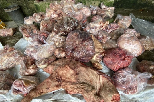 Kho thịt đông lạnh có mẫu nhiễm khuẩn E.coli gấp 60 lần cho phép