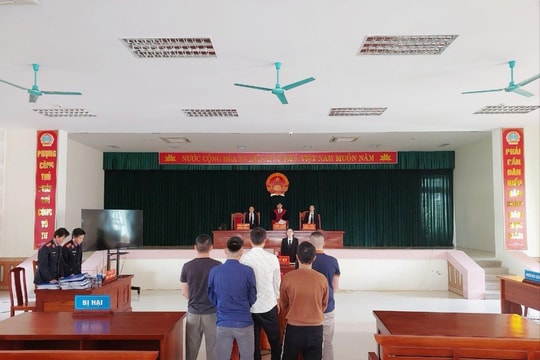 Xét xử nhóm bị cáo ‘cố ý gây thương tích’ và ‘cưỡng đoạt tài sản’ tại cảng Phước Thịnh