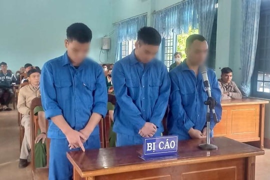 Tàng trữ trái phép chất ma túy, nhiều thanh niên lĩnh án