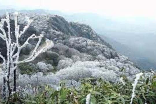 Khuyến cáo người dân về các biện pháp phòng, chống rét đậm, rét hại