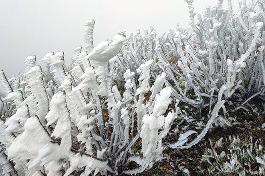Dòng người kéo lên săn tuyết khi băng giá phủ trắng đỉnh Mẫu Sơn
