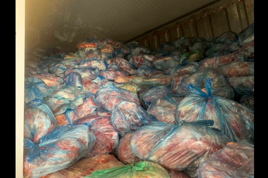 Hà Nội: Phát hiện 40 tấn thịt lợn nhiễm dịch tả lợn Châu Phi, lợn tai xanh