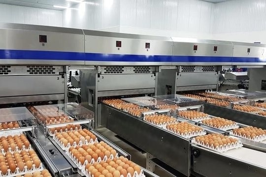 Từ tháng 2/2024, một loạt chính sách kinh tế mới có hiệu lực