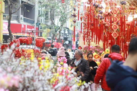 Sắc Xuân ngập tràn phố cổ