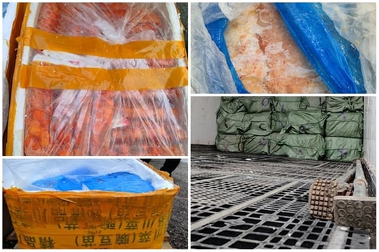 Tạm giữ cả tấn trứng gà non, nầm lợn 'trôi nổi'